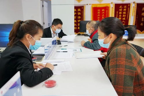 接地氣的法律知識，聽得懂的法律咨詢 讓法律成為生活的守護者
